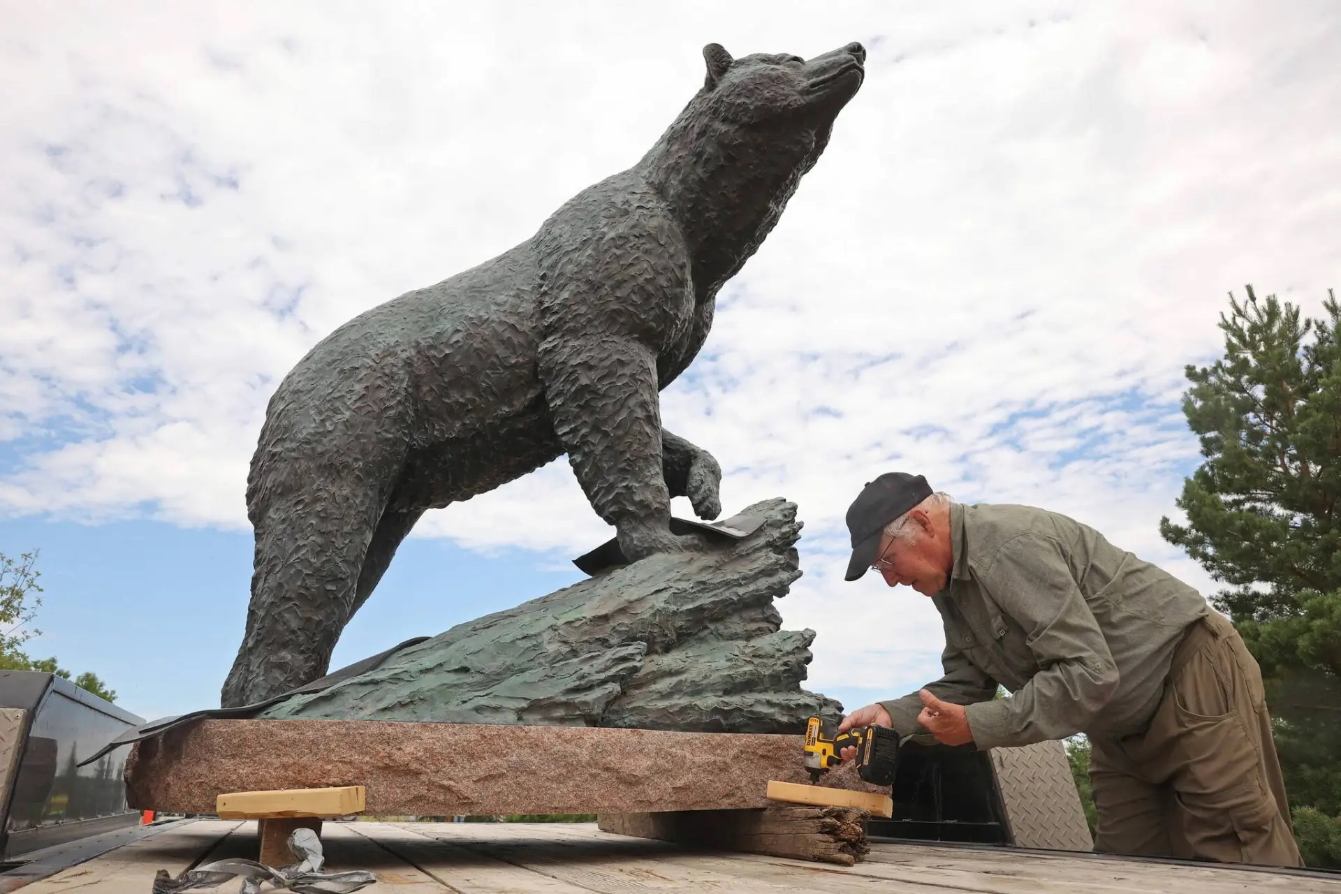 Peter Sawatzky installs his bronze sculpture of a black bear