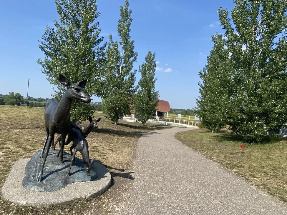 Peter Sawatzky's bronze sculpture of a deer and two fawns along a treed pathway